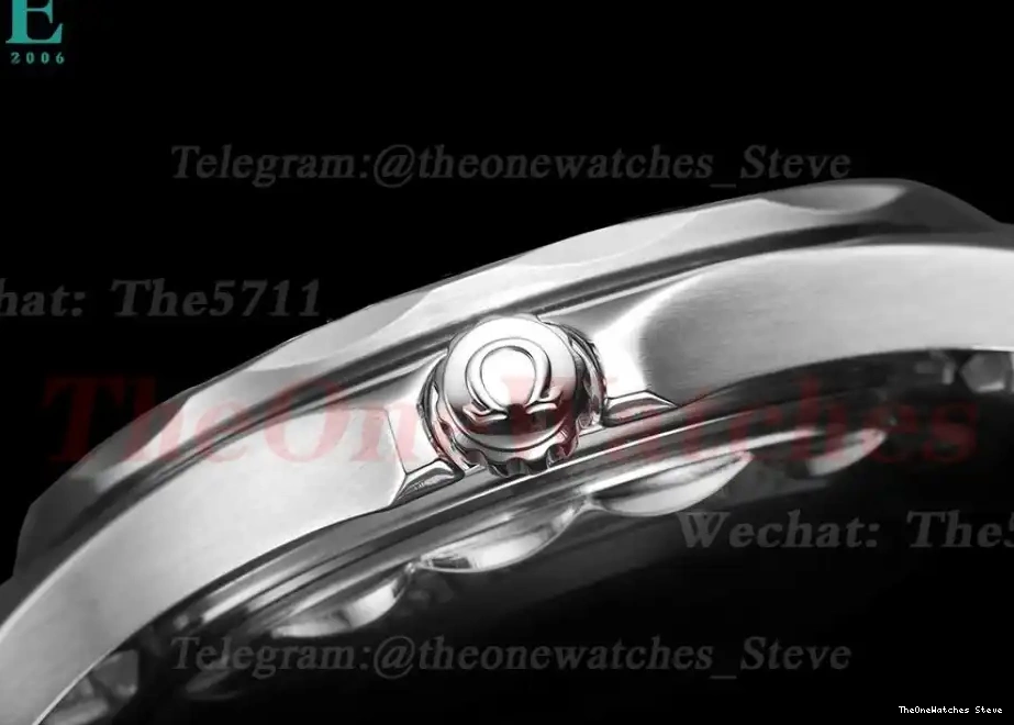 SS 42mm GDF 300m Seamaster Black Dial MY8215 SS 0319